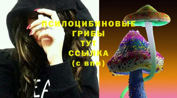 индика Абдулино